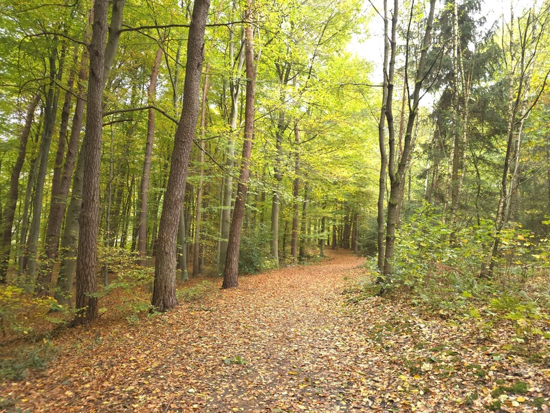 Genießt die Natur von Köln