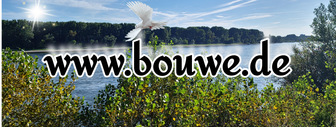 Bouwe.de